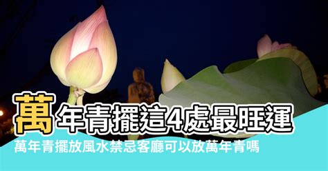 萬年青風水|【萬年青風水禁忌】客廳擺萬青風水禁忌 